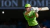 David Warner Pleads Guilty to Drink-Driving Charge